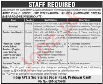 APS Jobs 2024 for Male and Female Teachers in Peshawar Online Apply